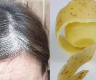 Emperatriz perversa Capítulo 70 en Línea - página 43