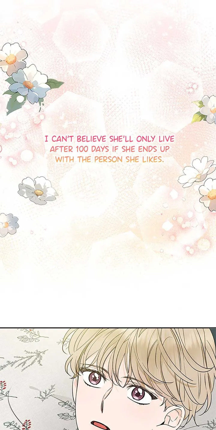 100-Day Romance Chapter 50 Online - página 42