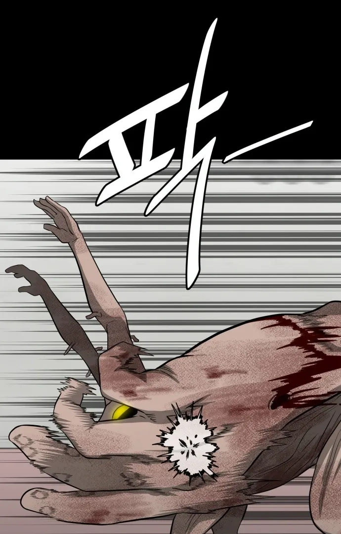 1331 Chapter 25 Online - página 14