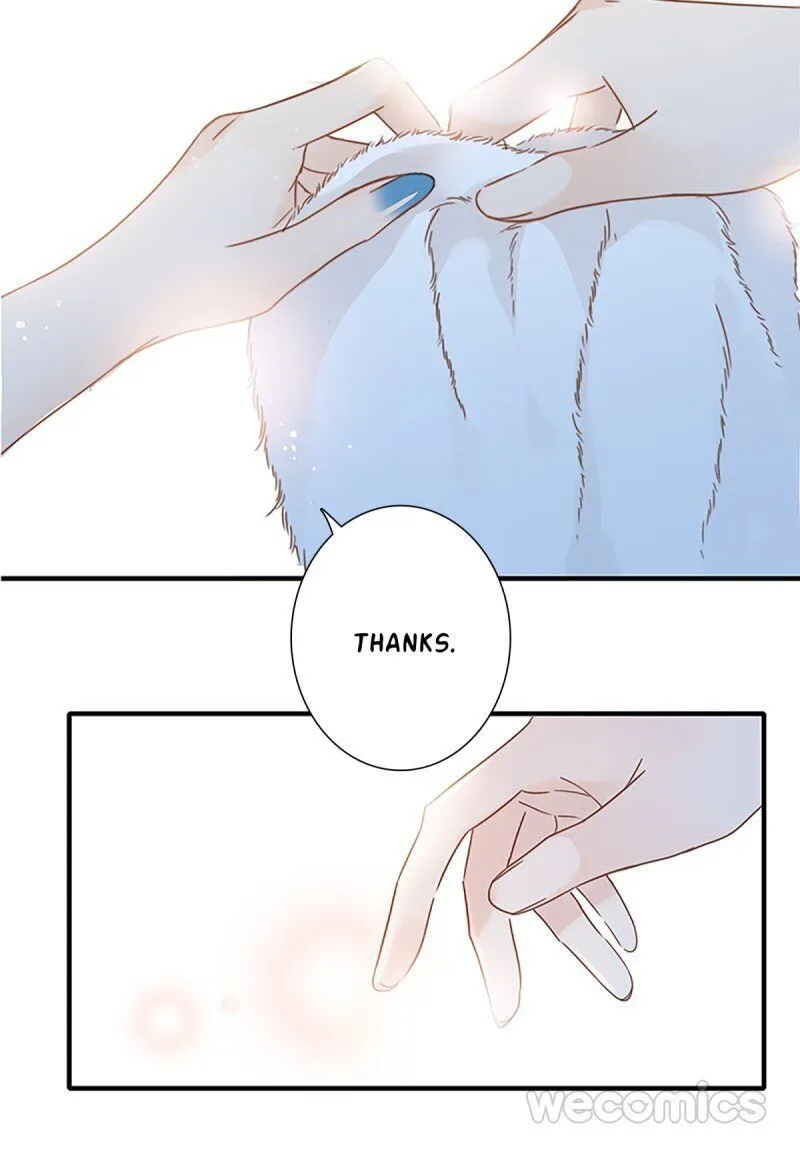 1st kiss – I don’t want to consider you as sister anymore Chapter 2 Online - página 21