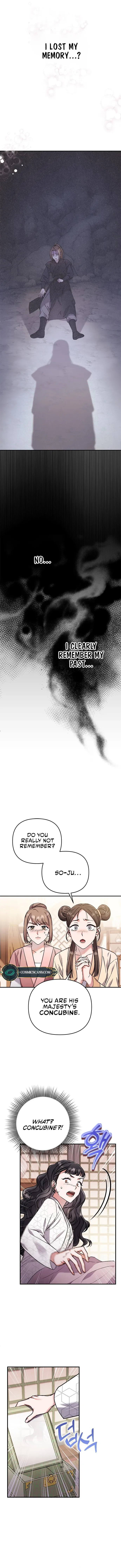 A Master, Who Woke up as a Concubine Chapter 1 Online - página 8