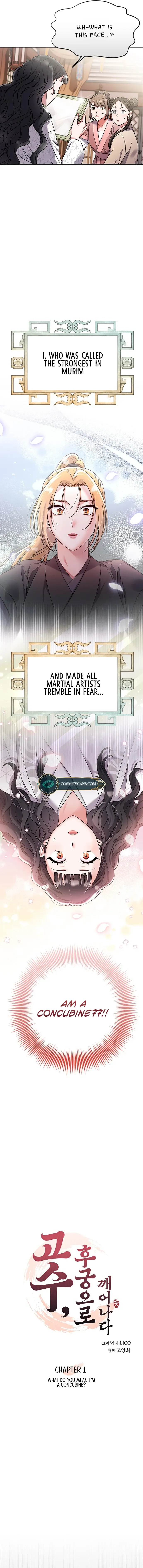 A Master, Who Woke up as a Concubine Chapter 1 Online - página 9