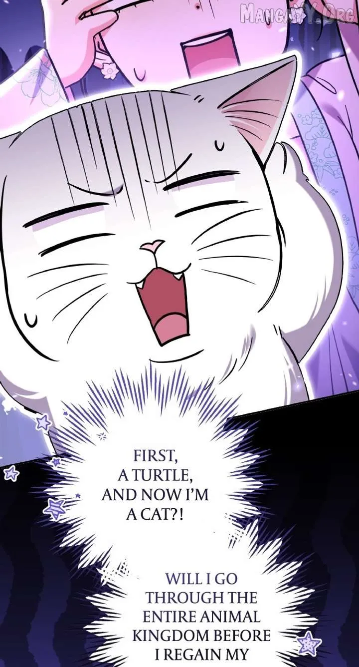 A Master, Who Woke up as a Concubine Chapter 117 Online - página 86