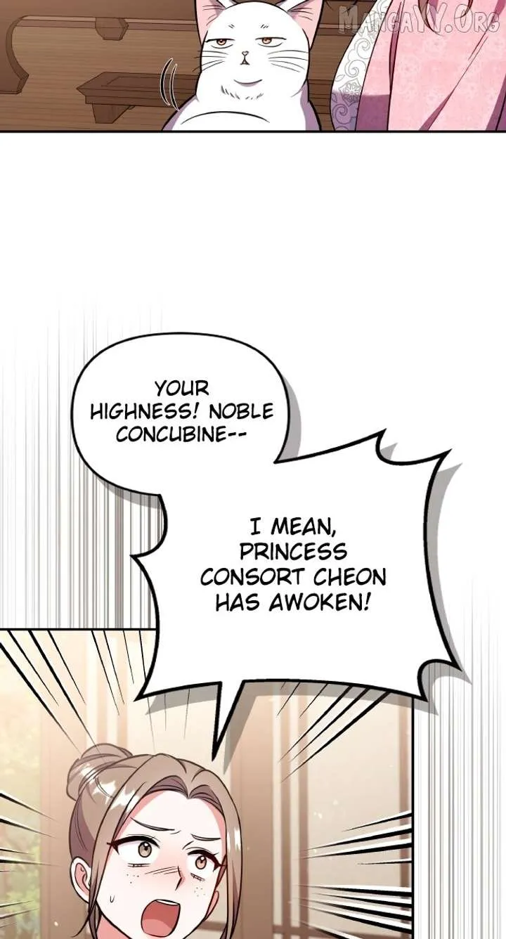 A Master, Who Woke up as a Concubine Chapter 117 Online - página 103