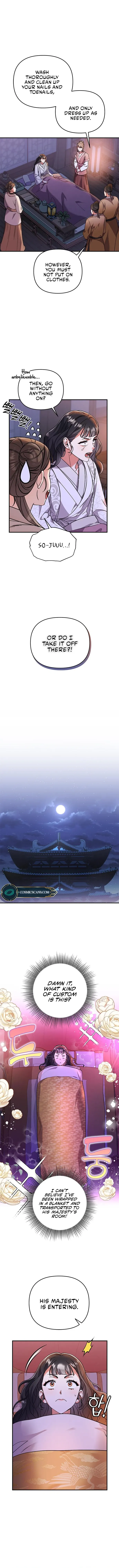 A Master, Who Woke up as a Concubine Chapter 3 Online - página 17
