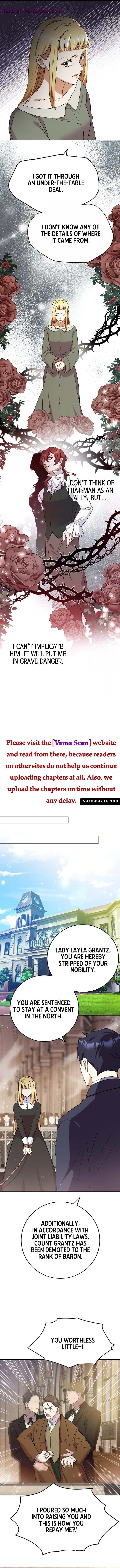 A Torn Heart between Cold King, Cruel King Chapter 25 Online - página 13