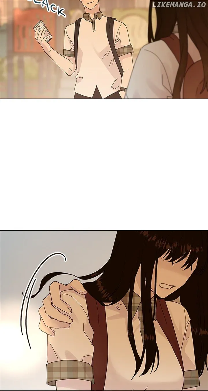 A Wife’s Sweet Revenge Chapter 116 Online - página 12