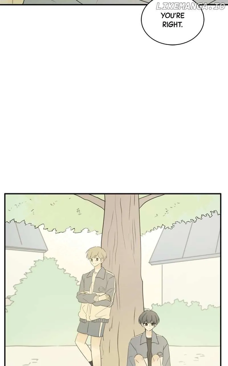 After School Recipe Chapter 37 Online - página 37
