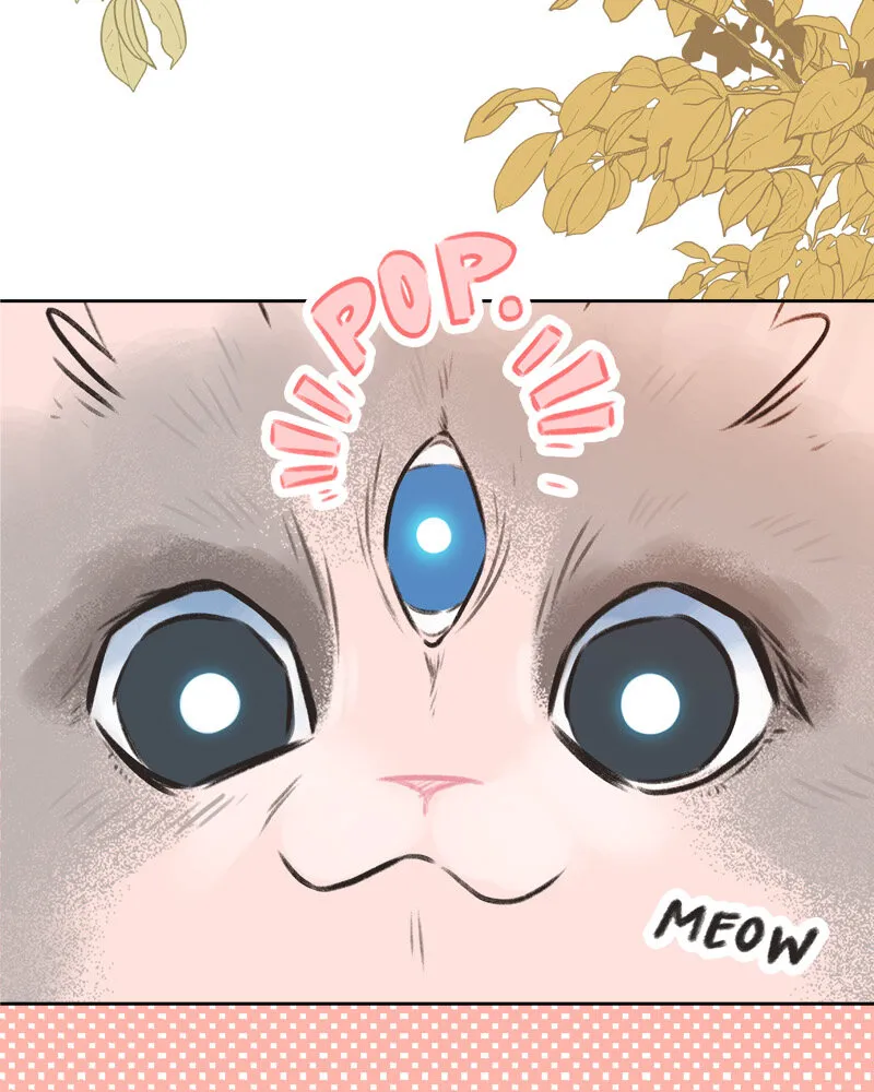 All Haven Academy Chapter 1 Online - página 25