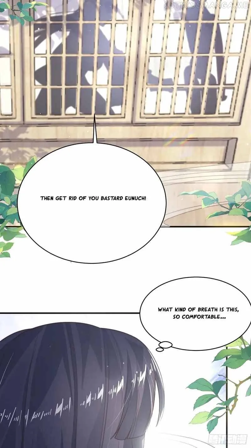 All the Female Apprentices Want to Kill Me Chapter 14 Online - página 5
