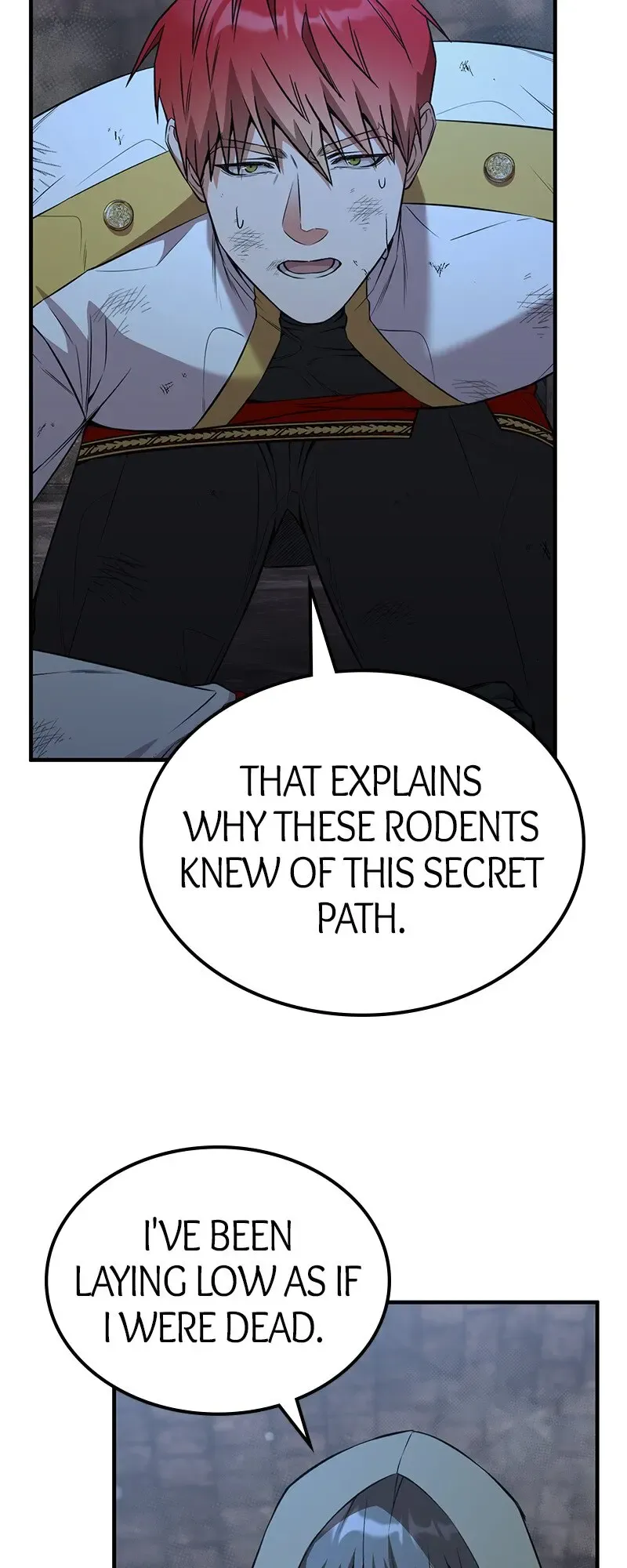 Amelia’s Opalescent Marriage Chapter 51 Online - página 12