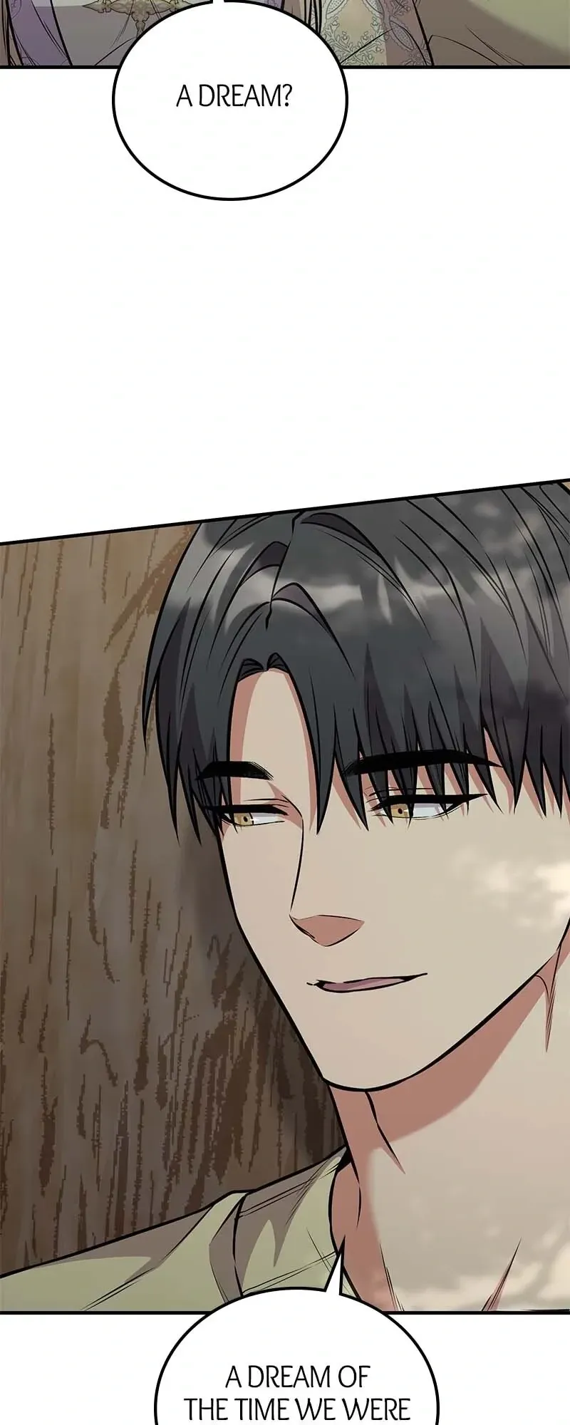 Amelia’s Opalescent Marriage Chapter 70 Online - página 29
