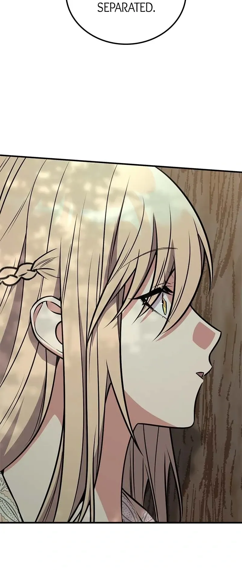 Amelia’s Opalescent Marriage Chapter 70 Online - página 30