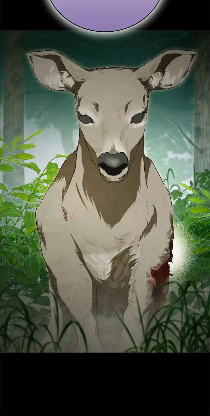 At The End Of The Hidden Greenery Chapter 50 Online - página 29