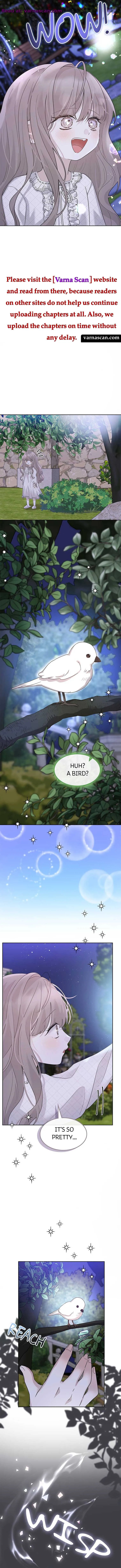 Baby Princess’ Survival Diary Chapter 14 Online - página 5