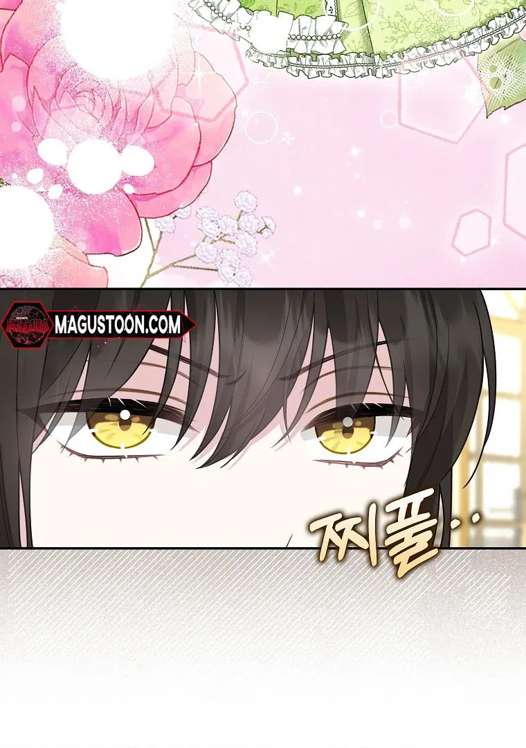 Baby Snow Leopard of the Black Leopard Family Chapter 12 Online - página 12