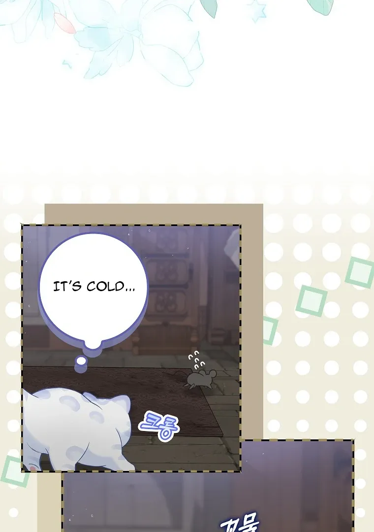 Baby Snow Leopard of the Black Leopard Family Chapter 2 Online - página 25