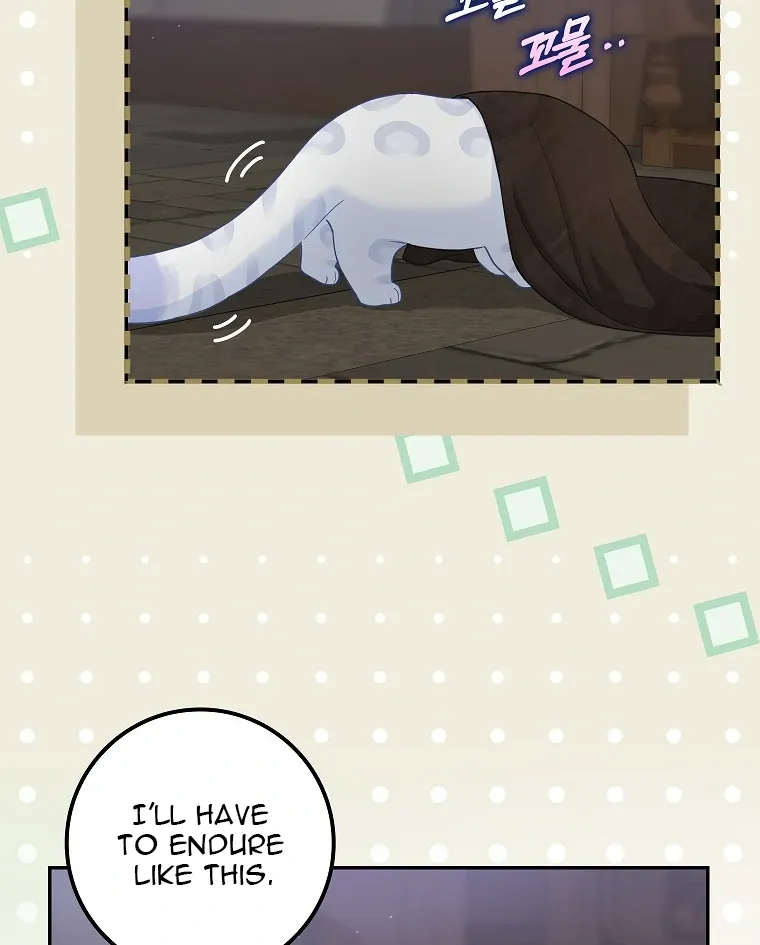 Baby Snow Leopard of the Black Leopard Family Chapter 2 Online - página 26