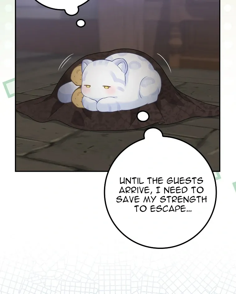 Baby Snow Leopard of the Black Leopard Family Chapter 2 Online - página 27