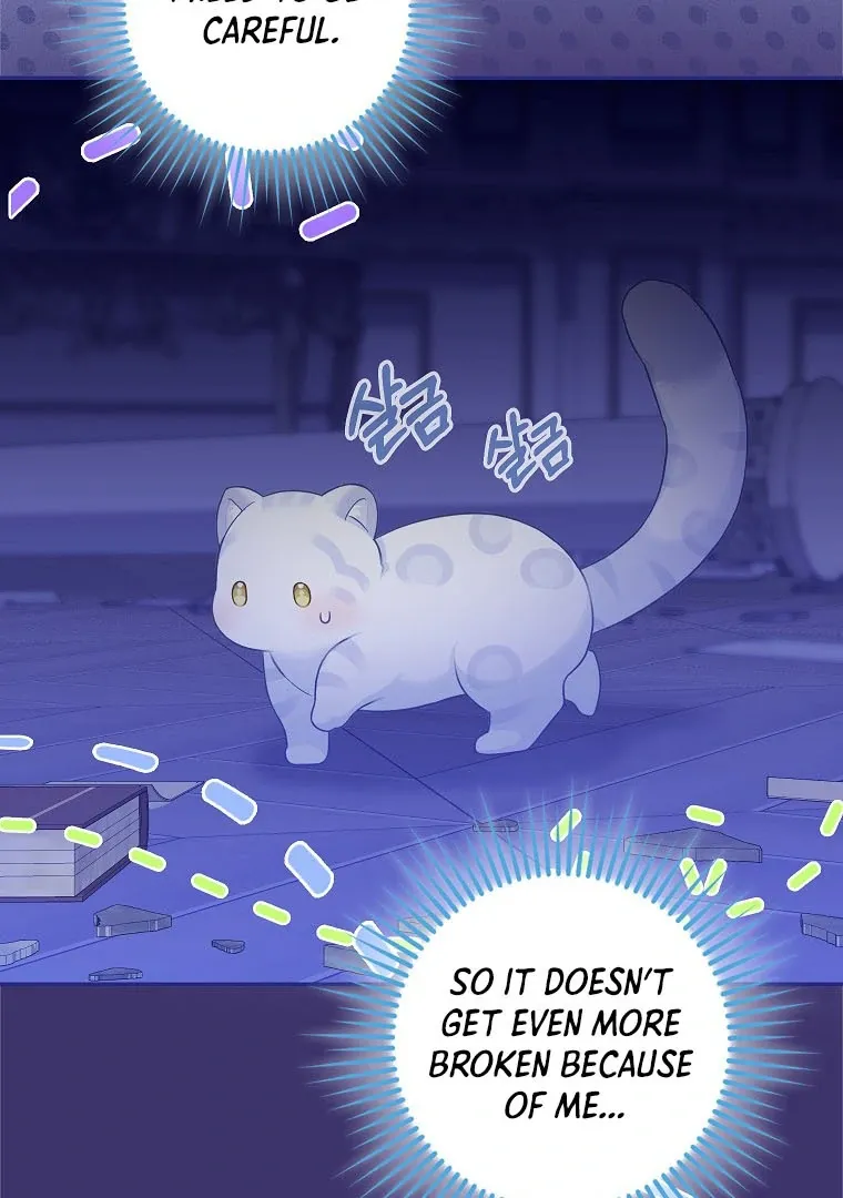 Baby Snow Leopard of the Black Leopard Family Chapter 3 Online - página 92