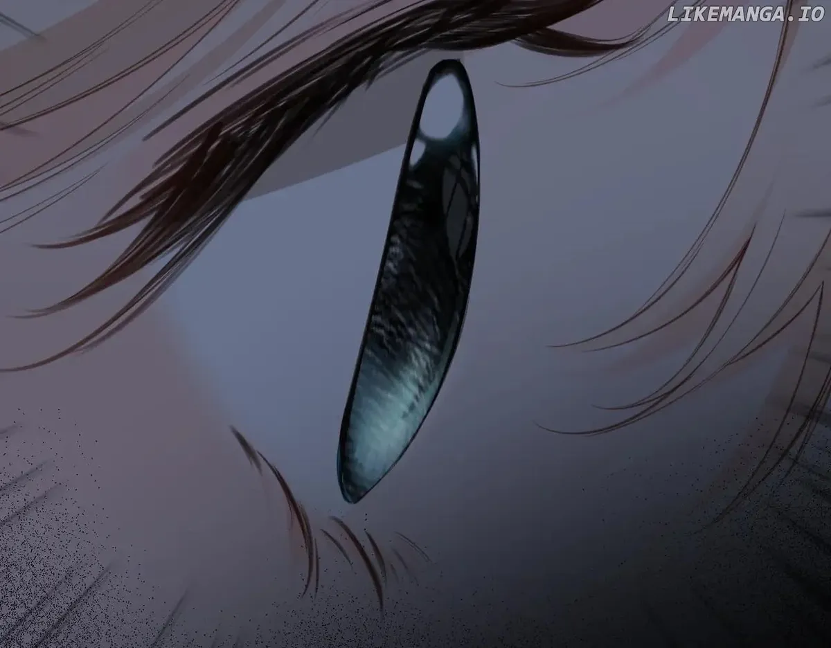 Back to Spring Chapter 21 Online - página 65