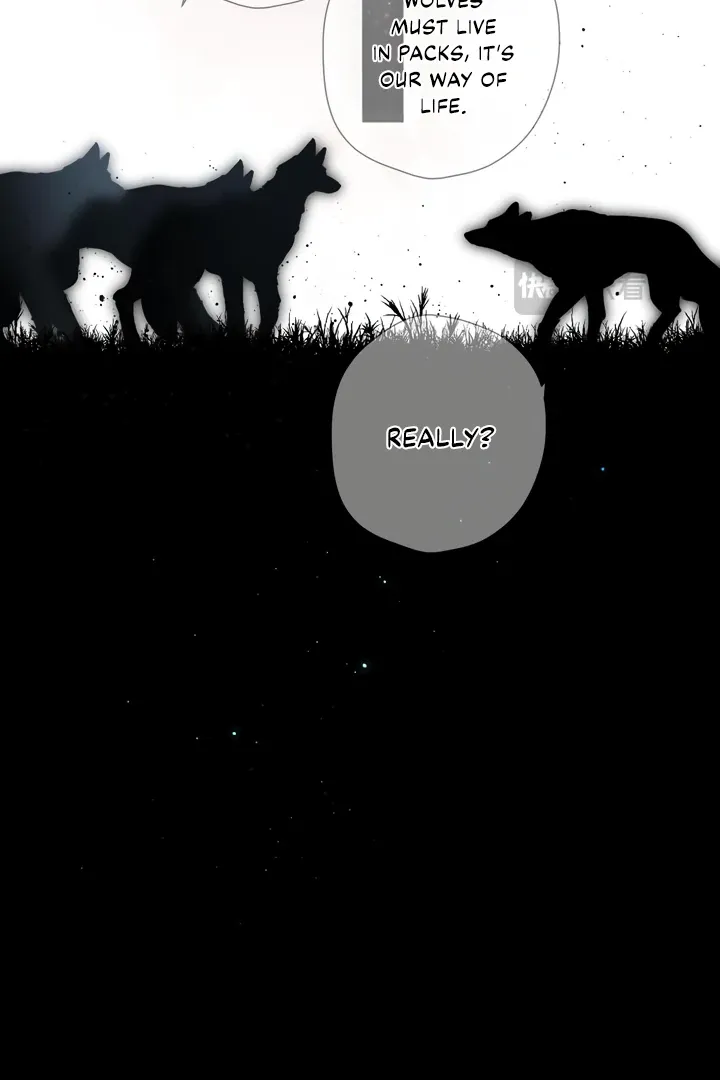 Back to Spring Chapter 32 Online - página 13