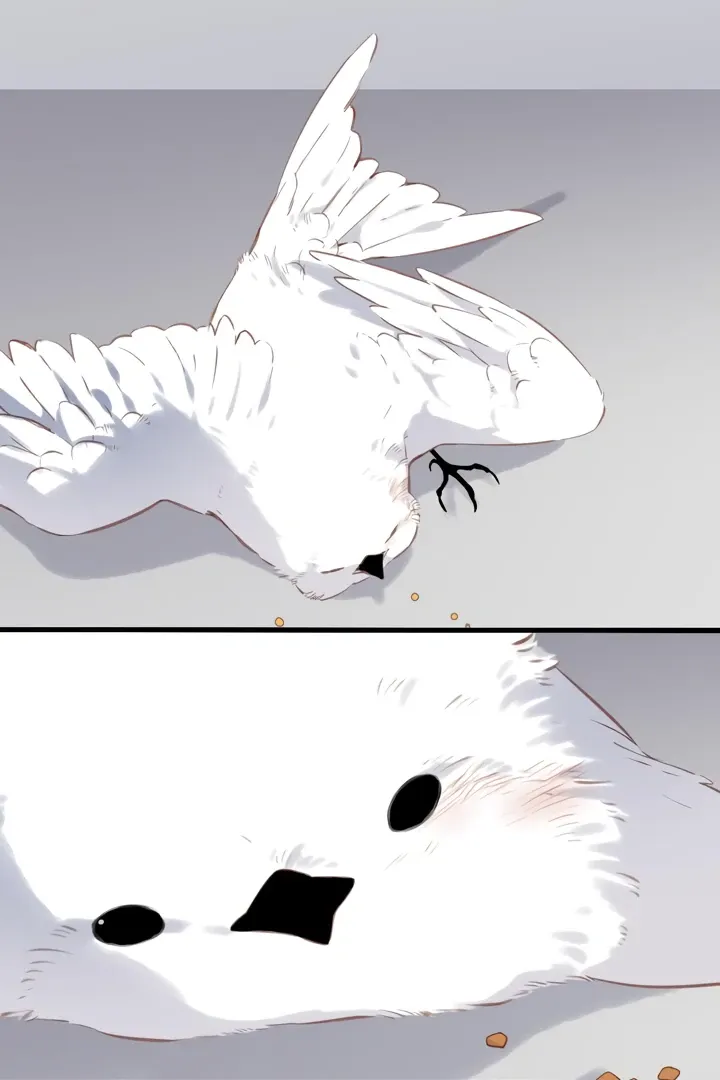 Back to Spring Chapter 32 Online - página 45