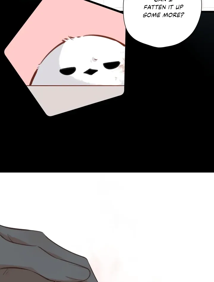 Back to Spring Chapter 32 Online - página 50