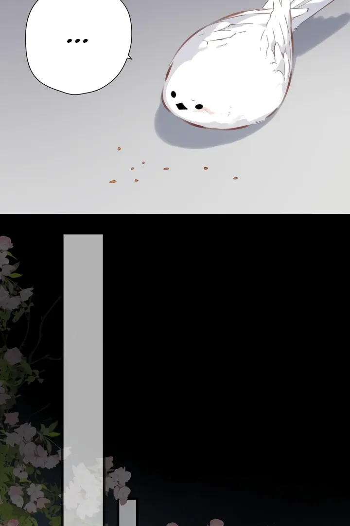 Back to Spring Chapter 32 Online - página 53