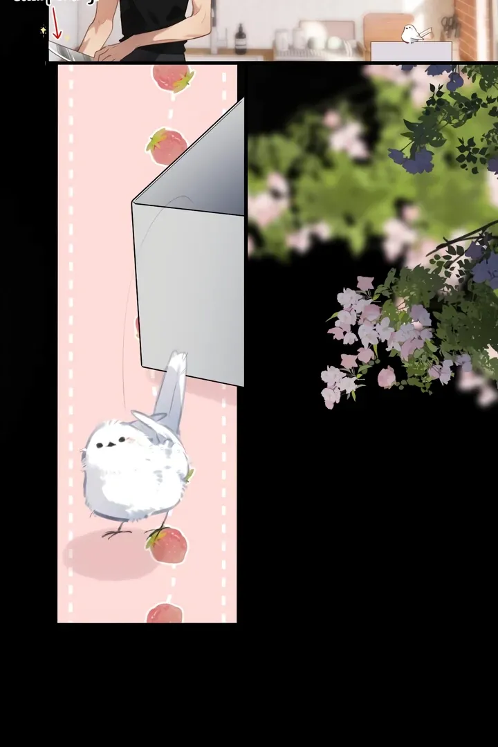 Back to Spring Chapter 32 Online - página 55
