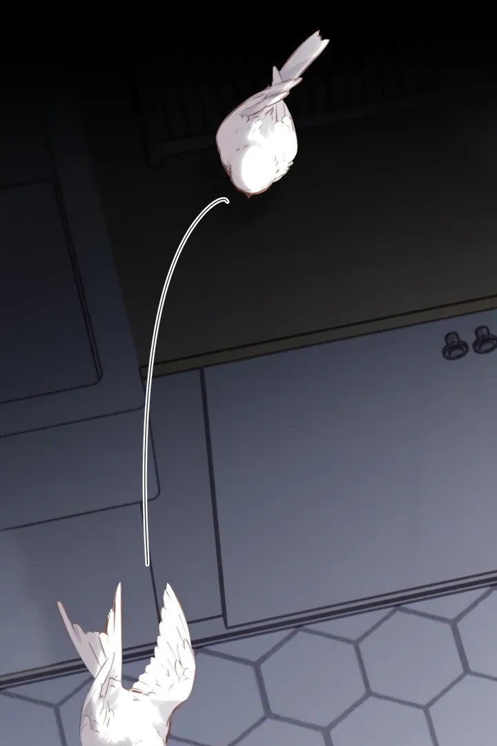 Back to Spring Chapter 32 Online - página 56