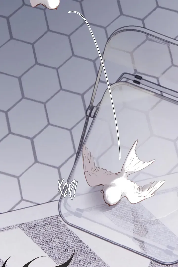 Back to Spring Chapter 32 Online - página 57