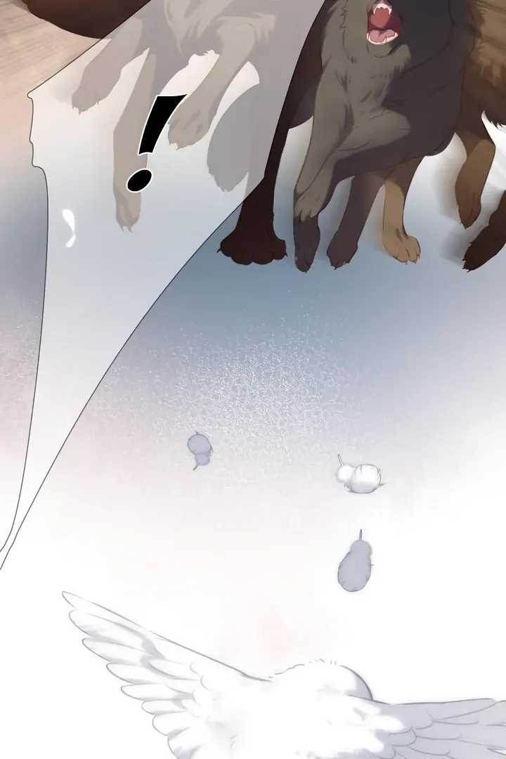 Back to Spring Chapter 32 Online - página 70