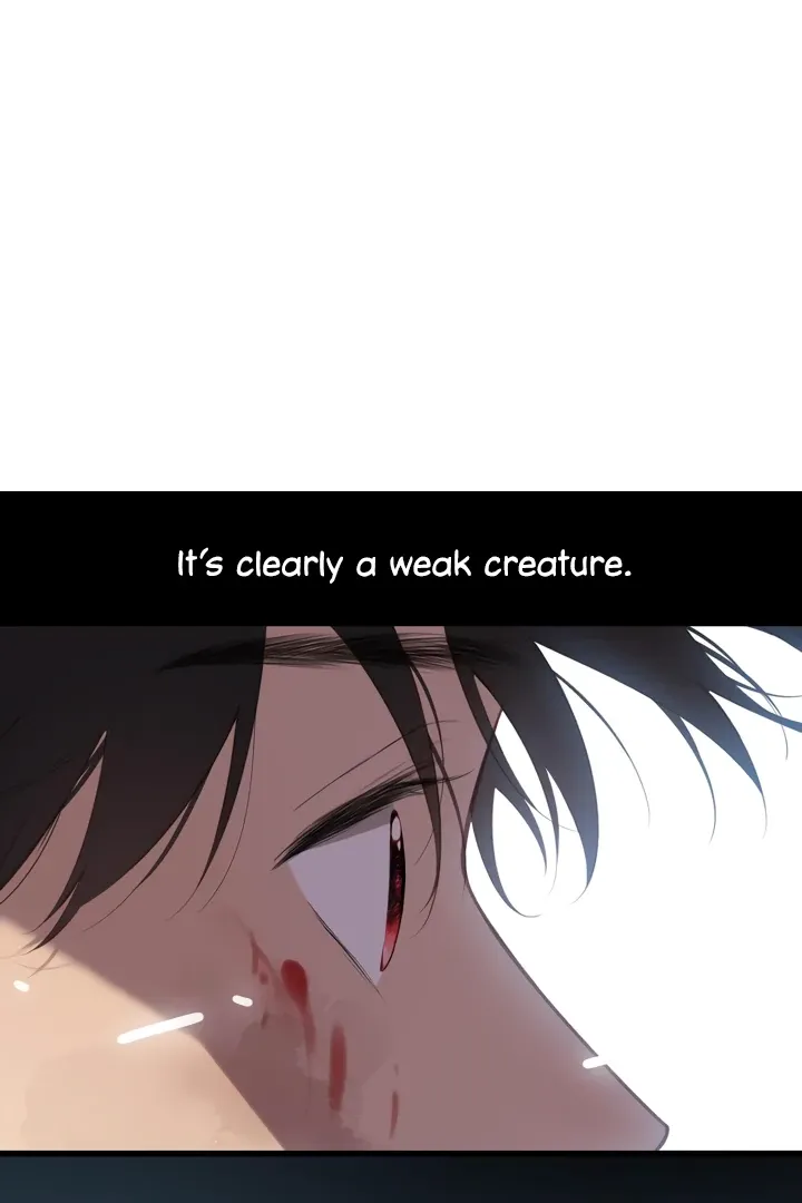 Back to Spring Chapter 32 Online - página 72