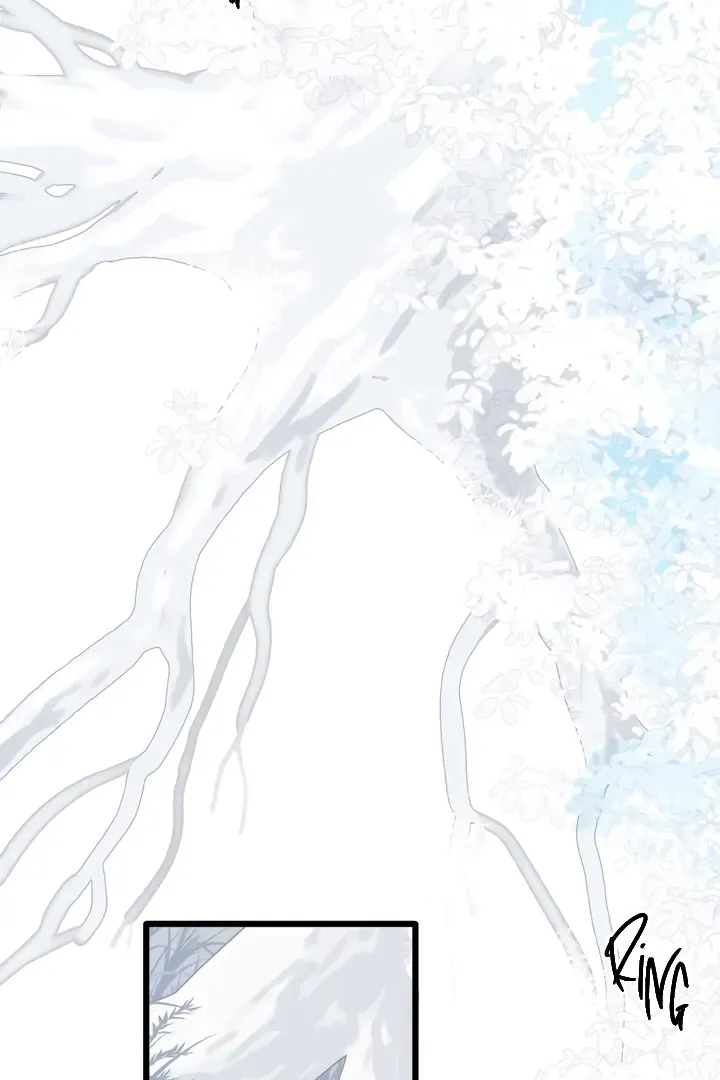 Back to Spring Chapter 36 Online - página 16