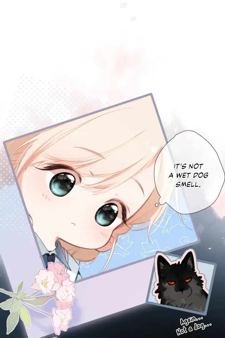 Back to Spring Chapter 44 Online - página 13