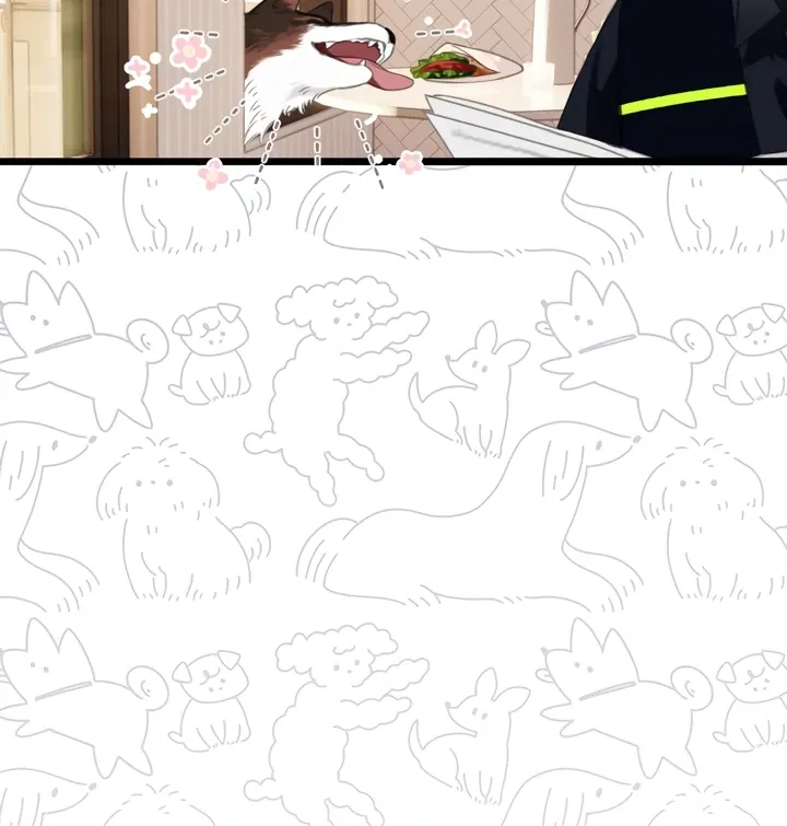 Back to Spring Chapter 45 Online - página 49