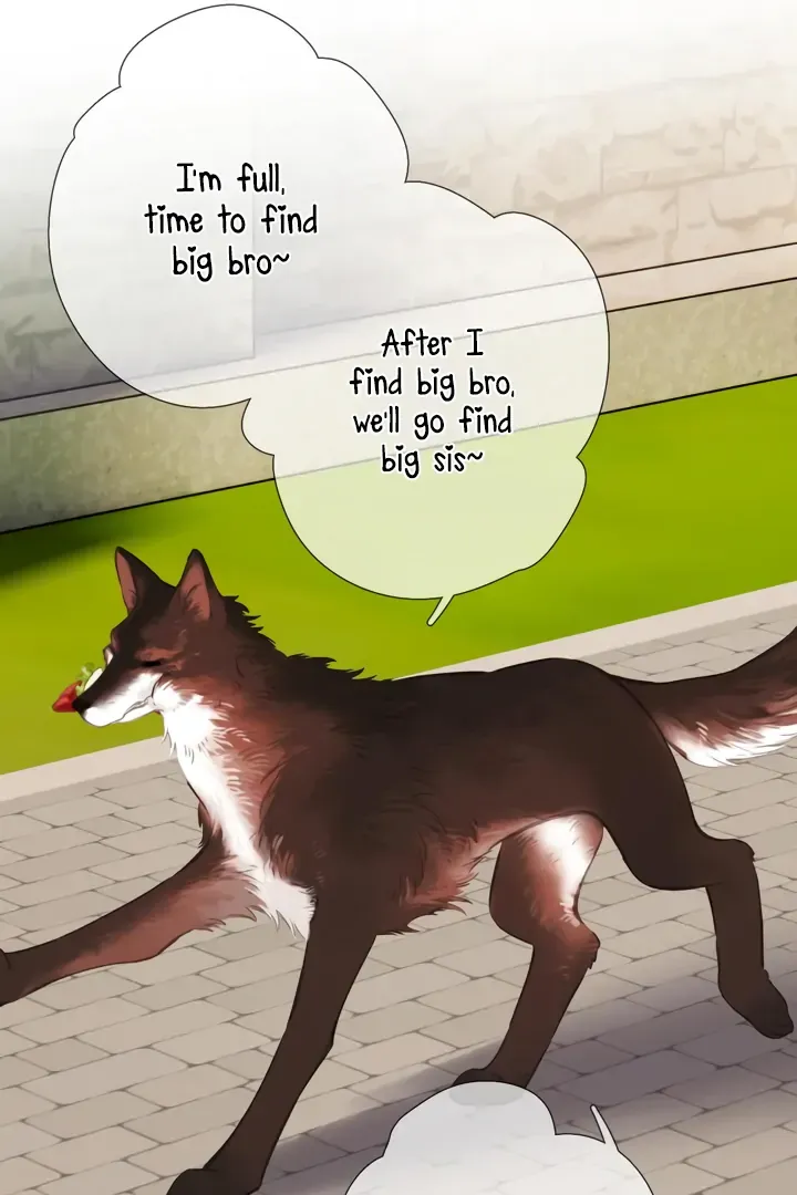 Back to Spring Chapter 45 Online - página 51