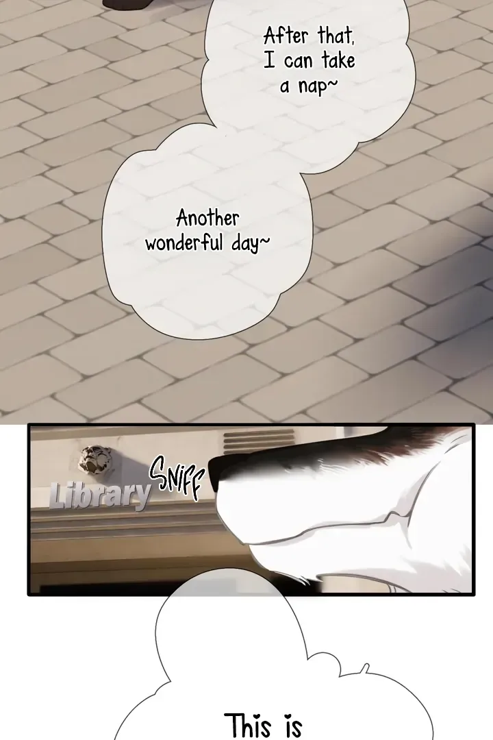 Back to Spring Chapter 45 Online - página 52