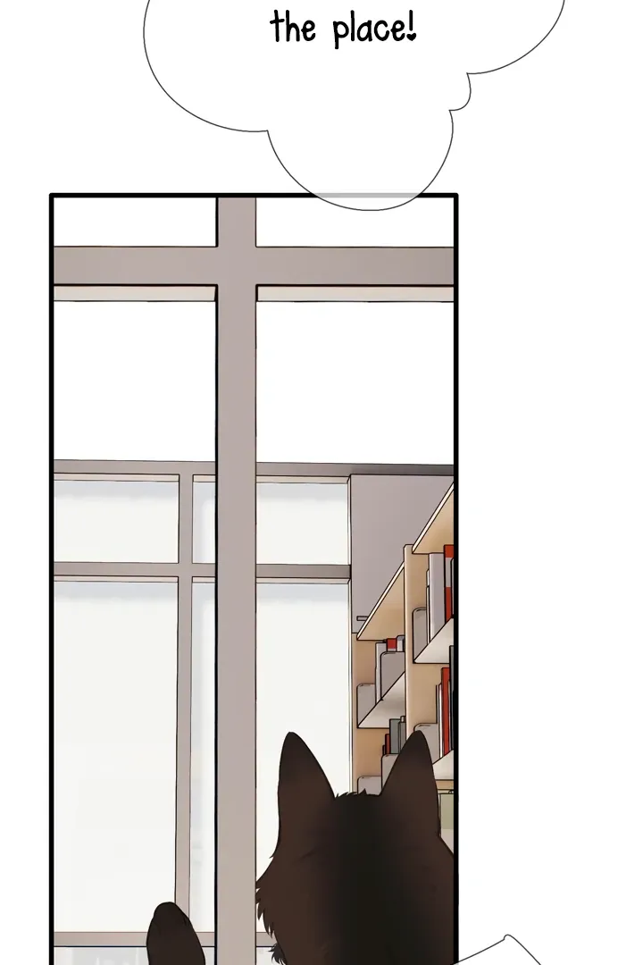 Back to Spring Chapter 45 Online - página 53