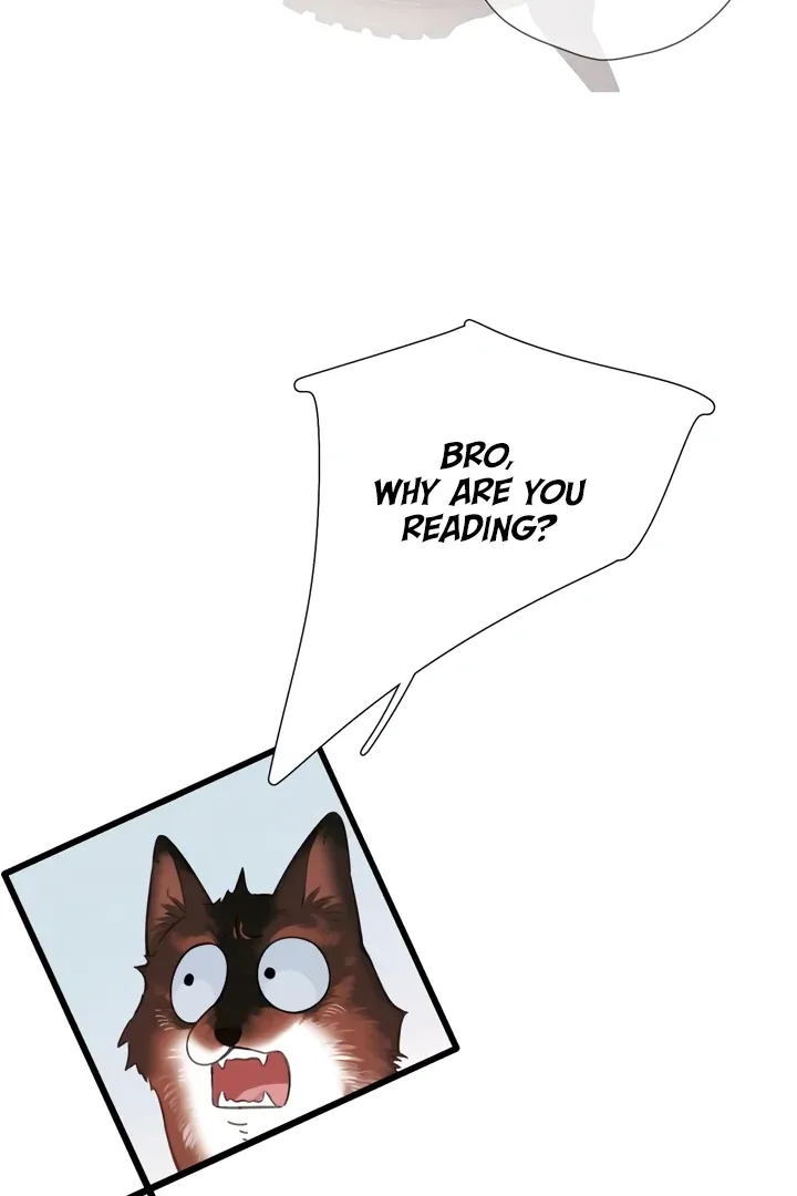 Back to Spring Chapter 45 Online - página 56