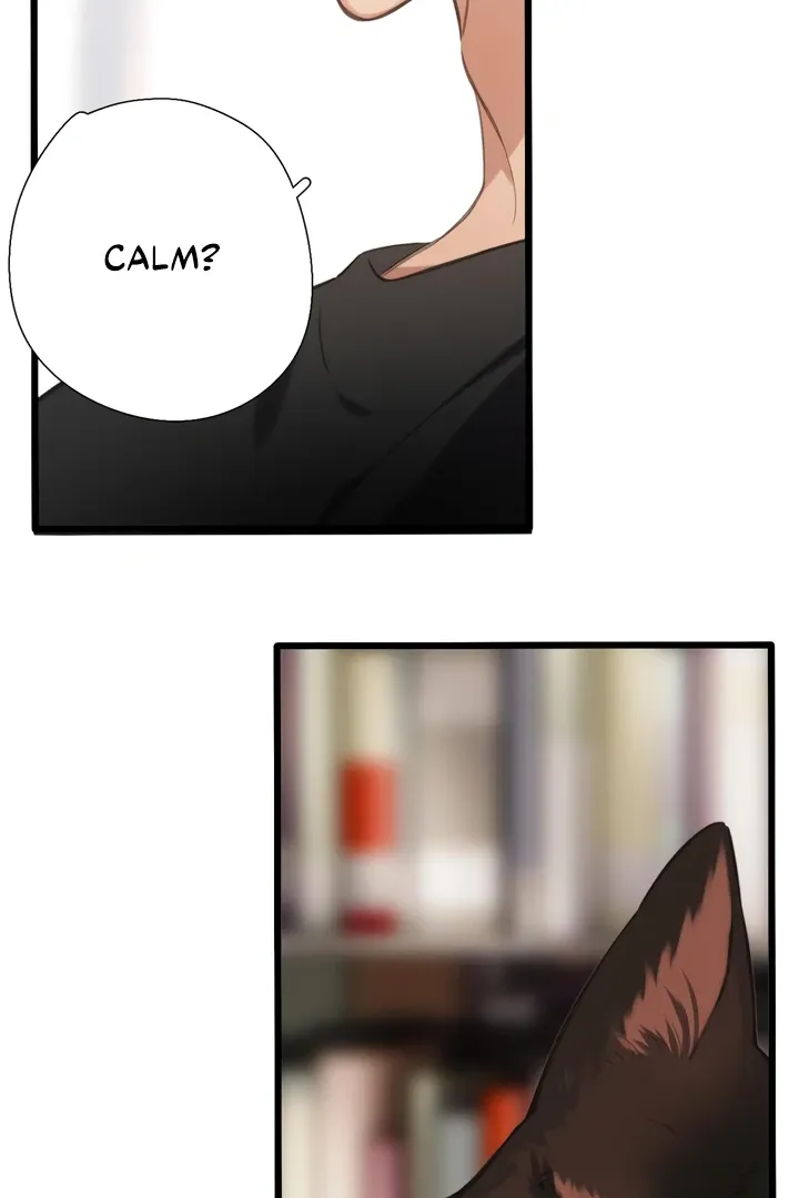 Back to Spring Chapter 45 Online - página 61