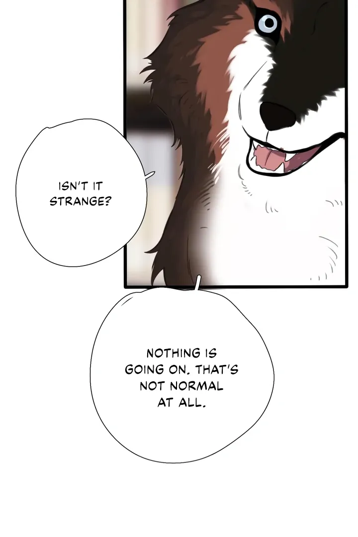 Back to Spring Chapter 45 Online - página 62