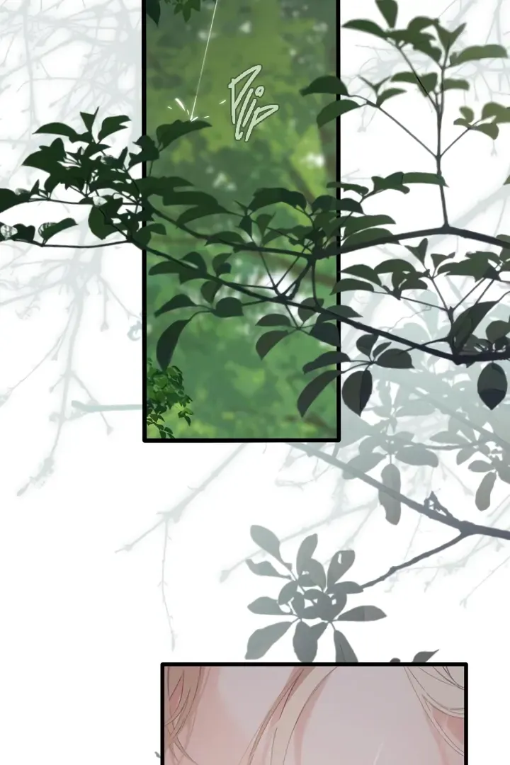 Back to Spring Chapter 52 Online - página 38