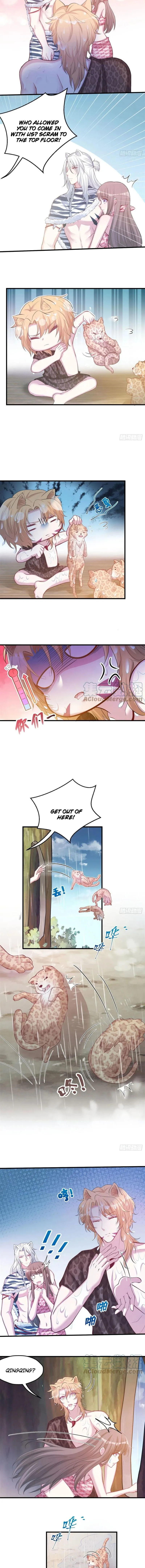 Beauty and the Beasts Chapter 300 Online - página 5