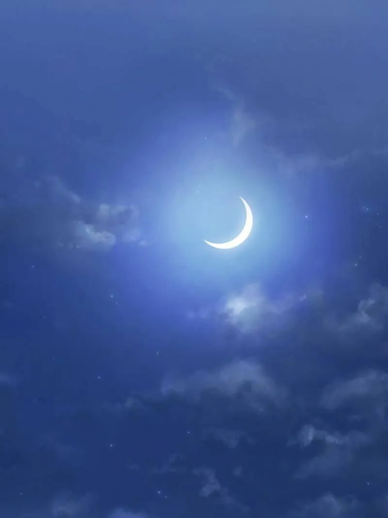 Beauty and the Beasts Chapter 43 Online - página 2
