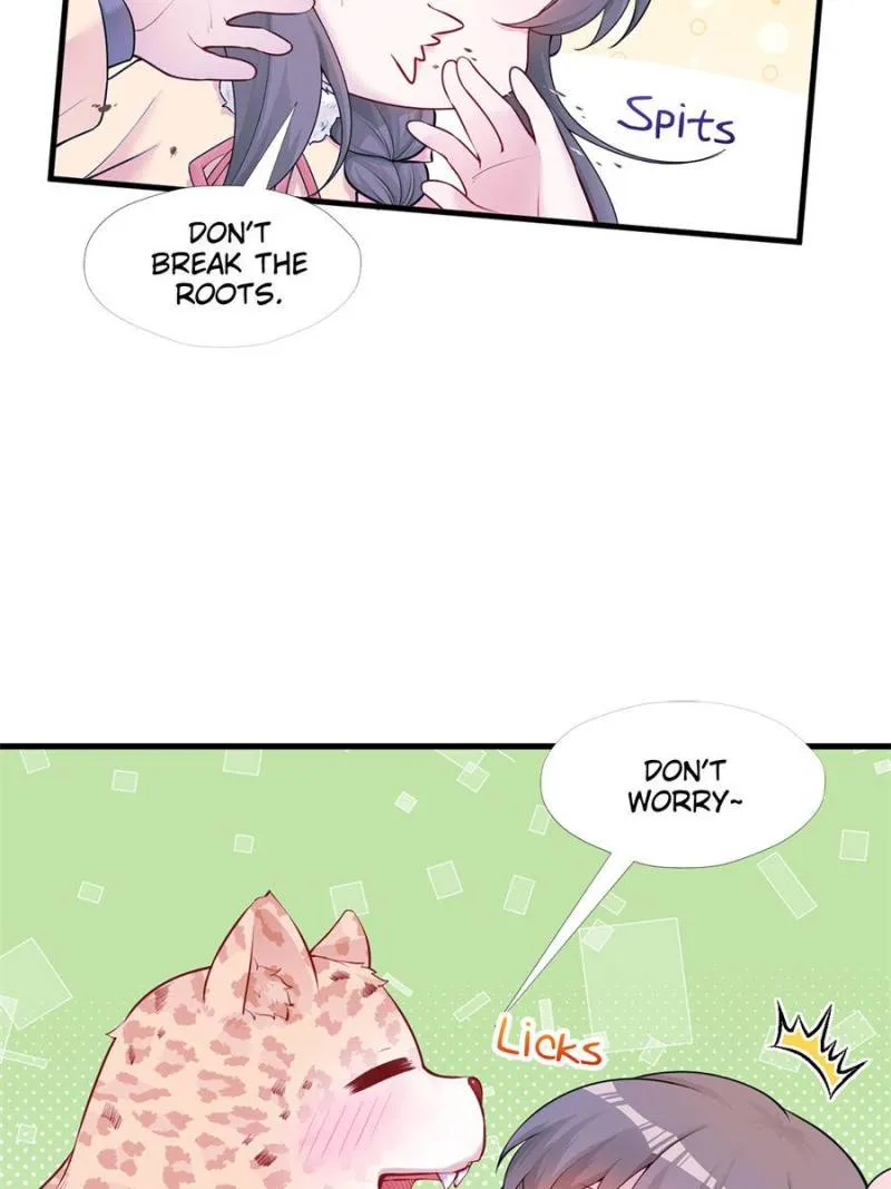 Beauty and the Beasts Chapter 472 Online - página 13