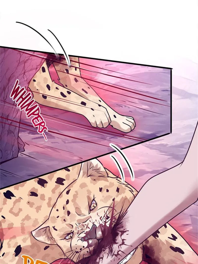 Beauty and the Beasts Chapter 506 Online - página 3
