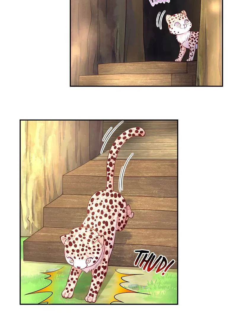 Beauty and the Beasts Chapter 611 Online - página 3