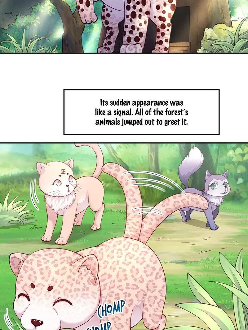 Beauty and the Beasts Chapter 611 Online - página 5